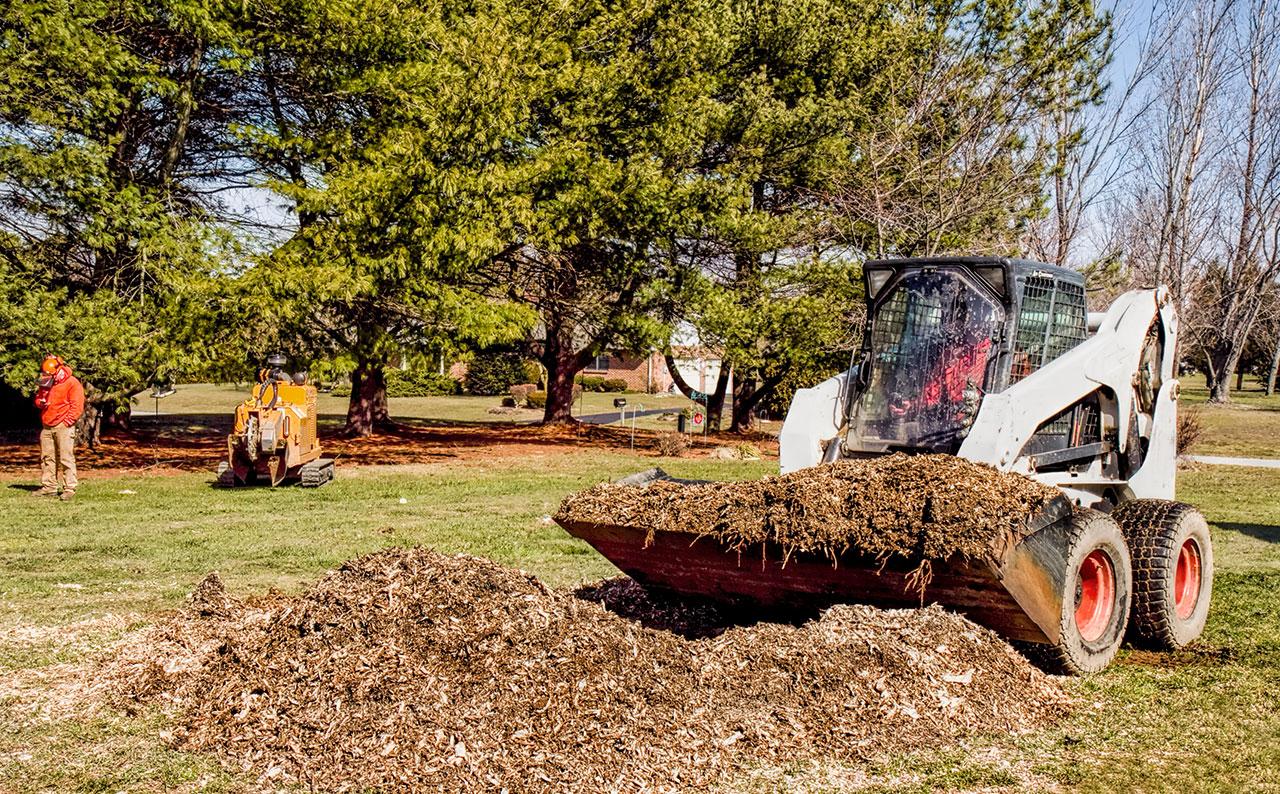 landscapingcompany